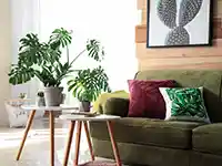 Ein grünes Sofa steht in einem Wohnzimmer, umgeben von Pflanzen und dekorativen Kissen.