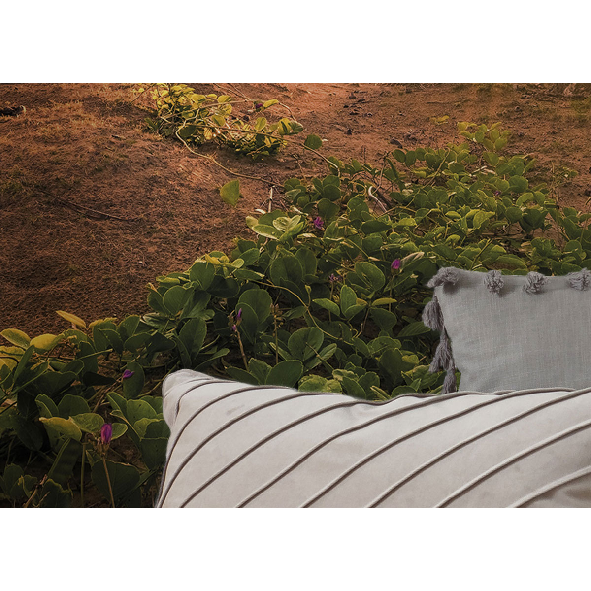 Komar  Vlies Fototapete Vertical Paradise 200x280 cm Bild 5