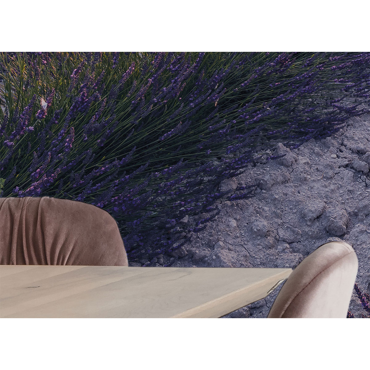 Komar  Vlies Fototapete Lavender Dream 450x280 cm Bild 9