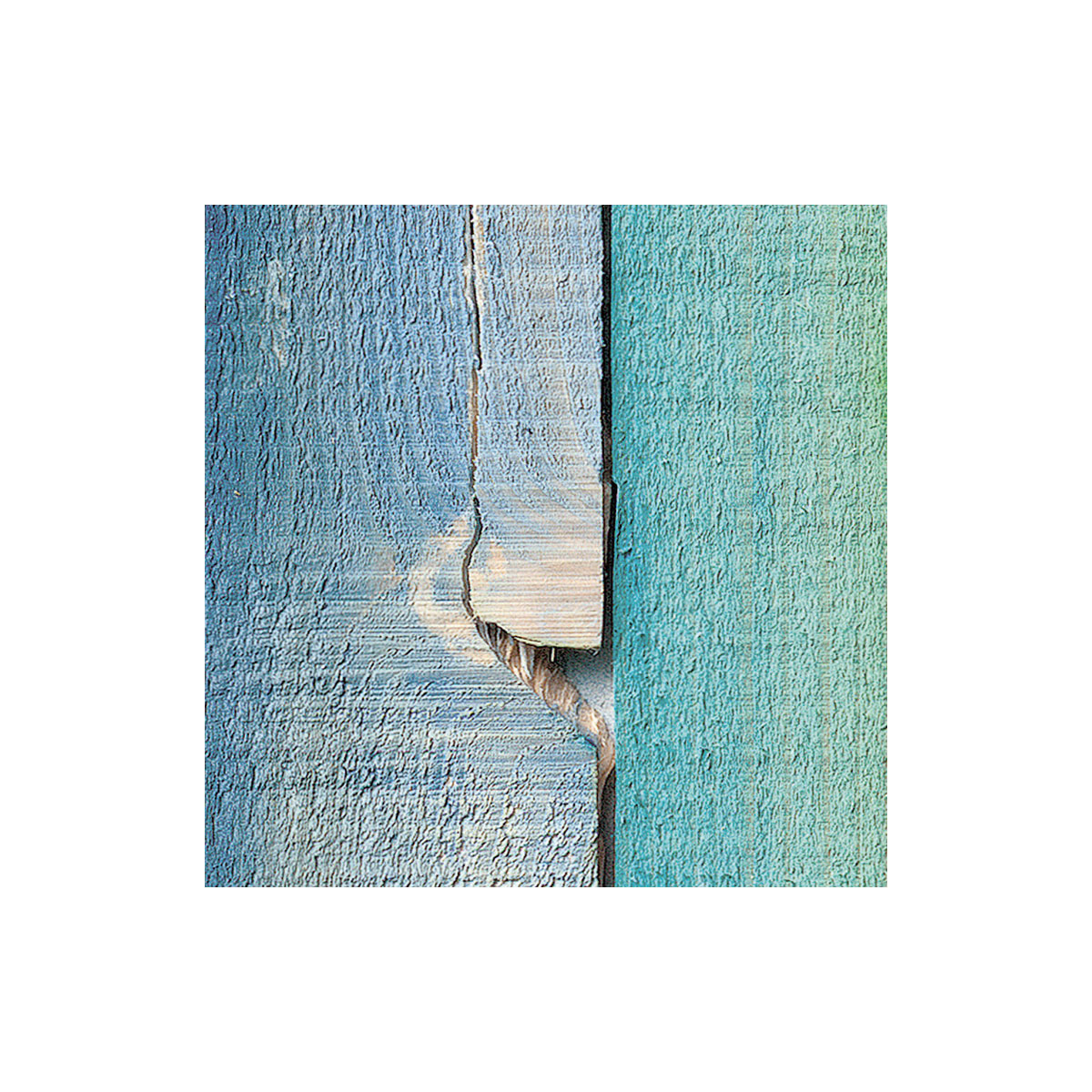 Komar  Vlies Fototapete Bazar 368x248 cm Bild 4