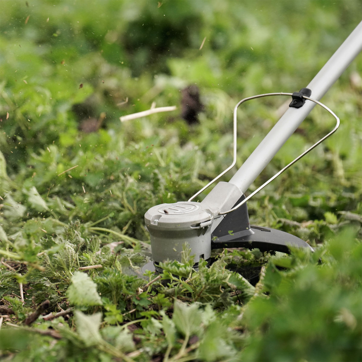 Bosch  Akku-Trimmer Advanced Brush Cut 36V-23-750 Bild 4