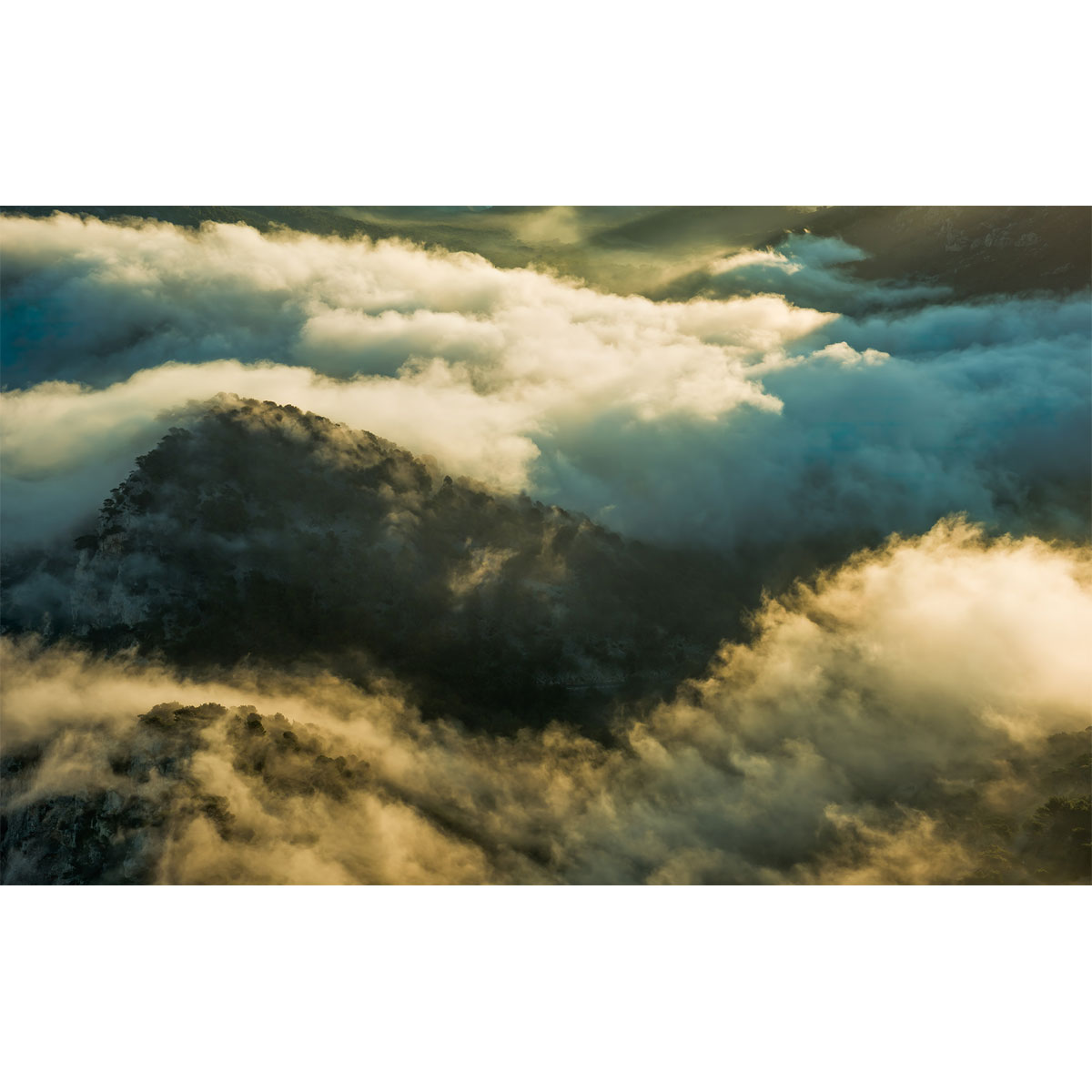 Komar  Vlies Fototapete Pangea 450x280 cm Bild 2