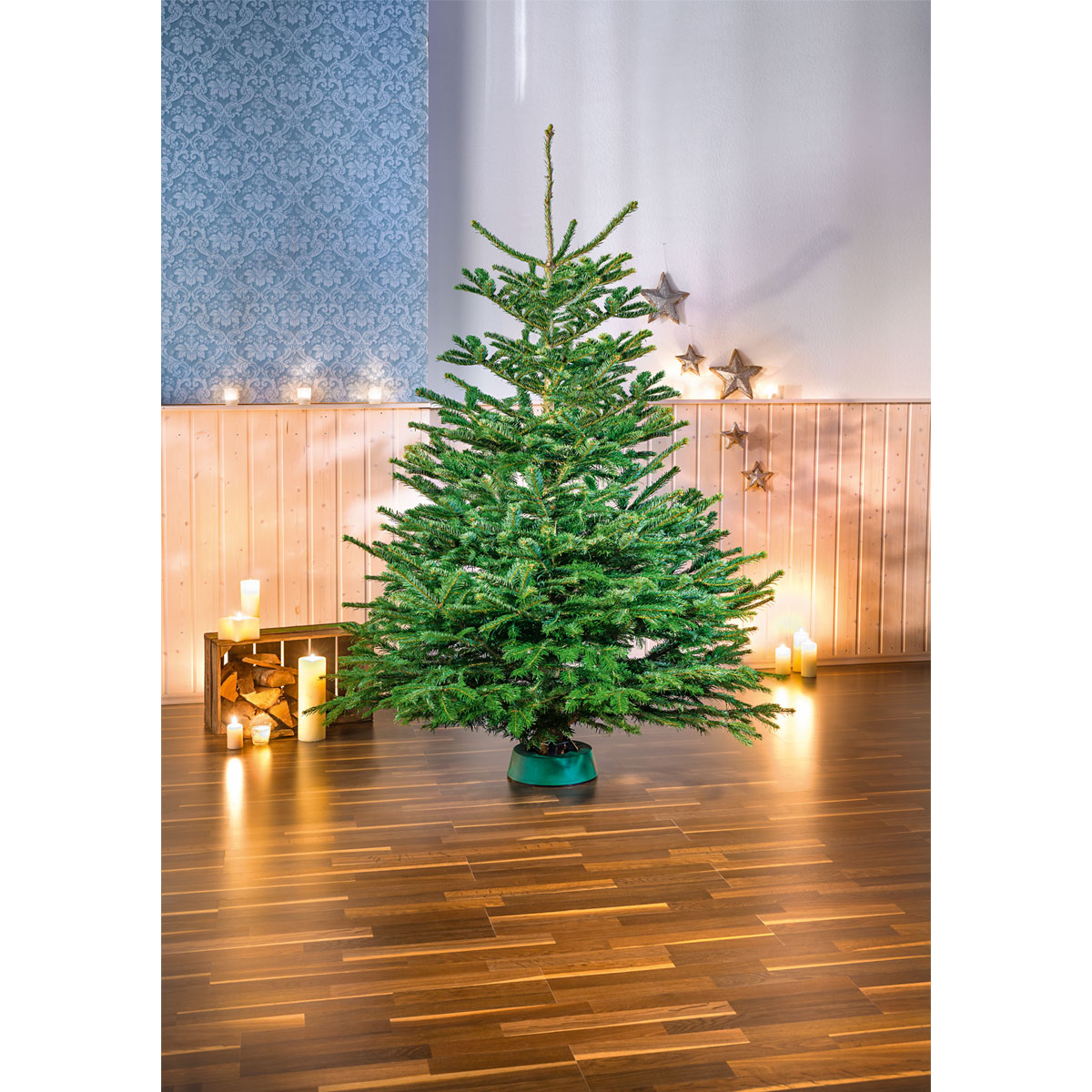 Plantiflor BIO Nordmanntanne 200-250 cm Bild 2