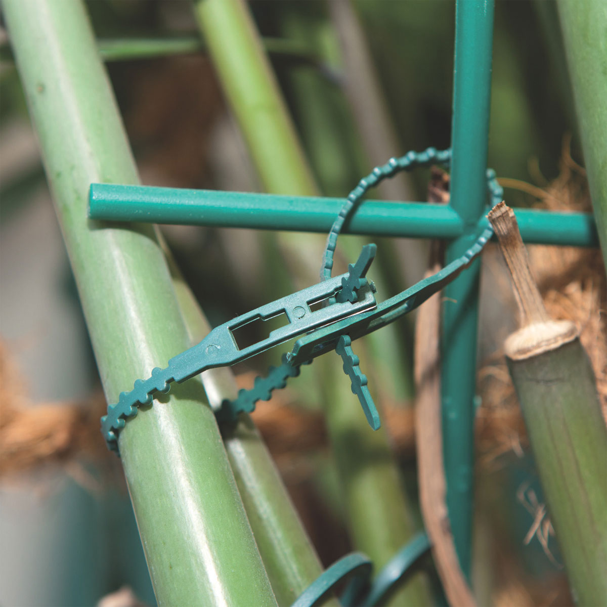 Windhager Pflanzenbinder 140 mm grün 50 Stück Bild 3