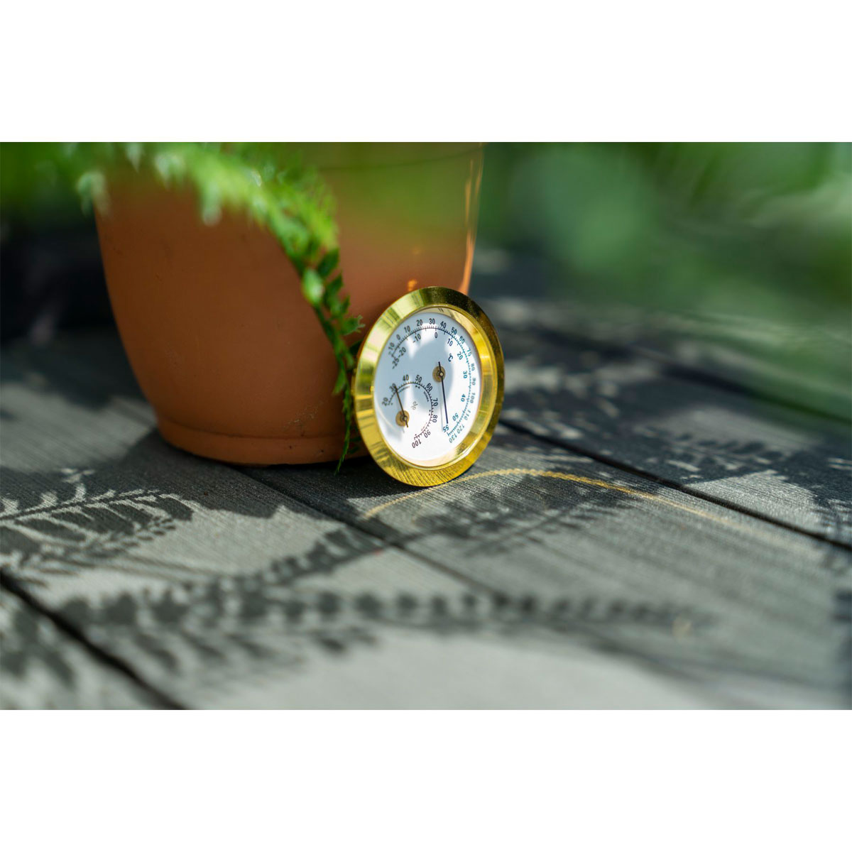 Vitavia Hygrometer Blister Bild 3