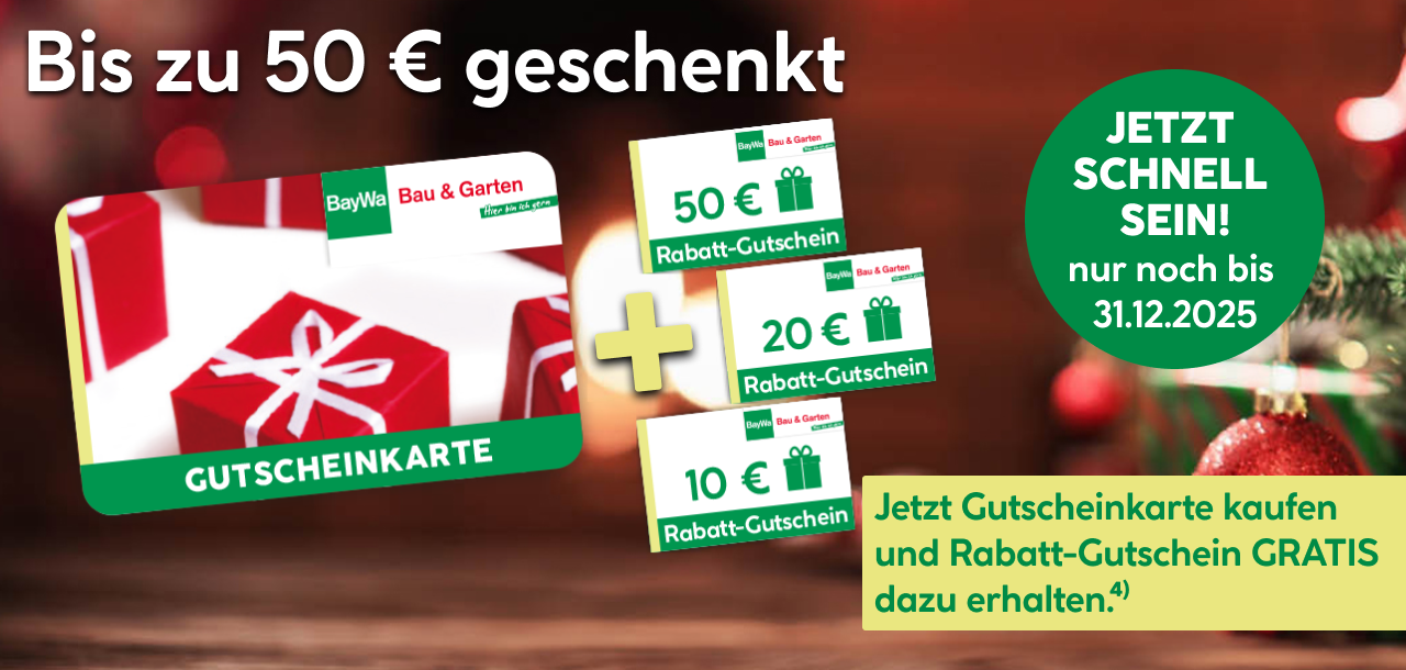 Bis zu 50 Euro geschenkt: Jetzt schnell sein! nur noch bis zum 31.12.2025
