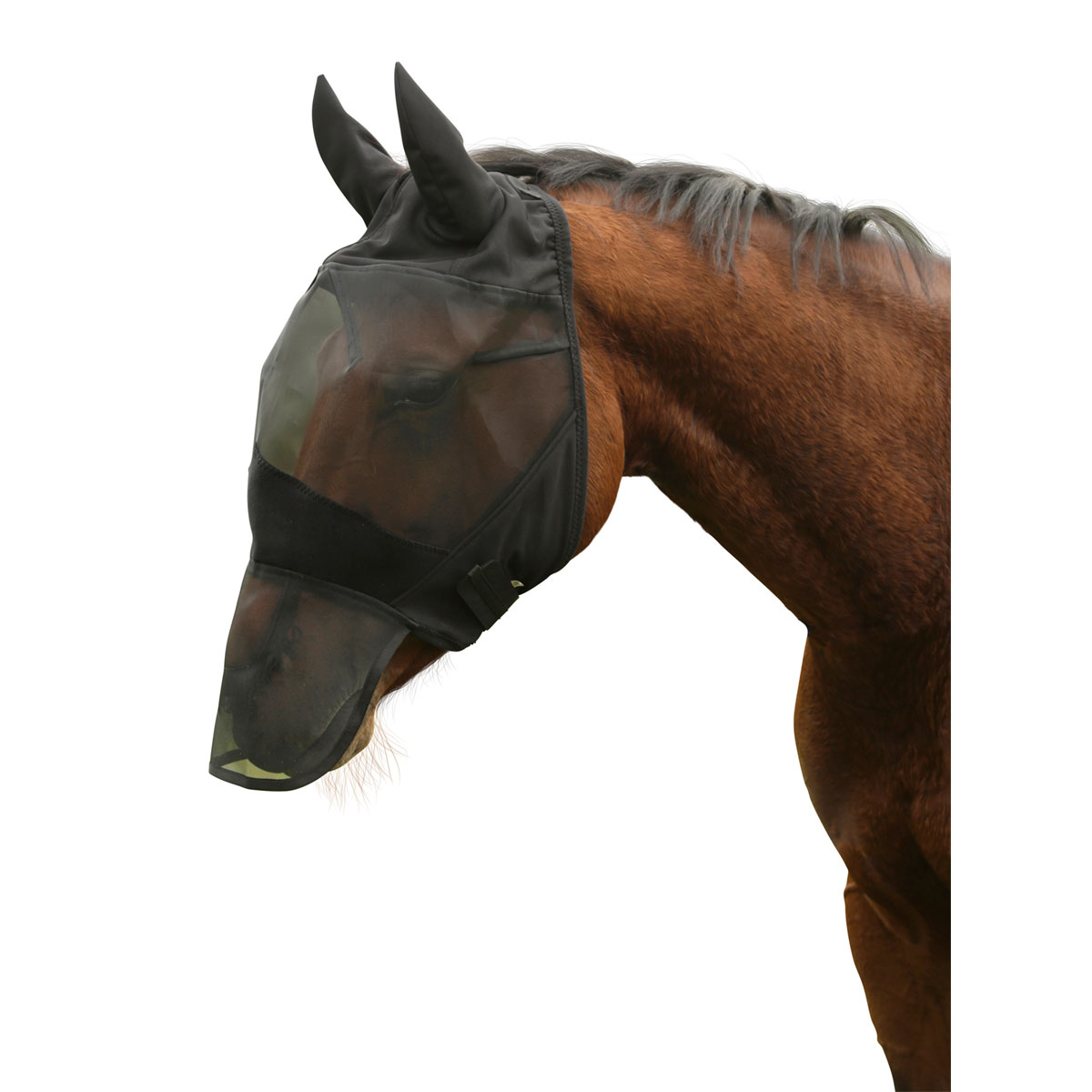 Fliegenschutzmaske Vollblut schwarz