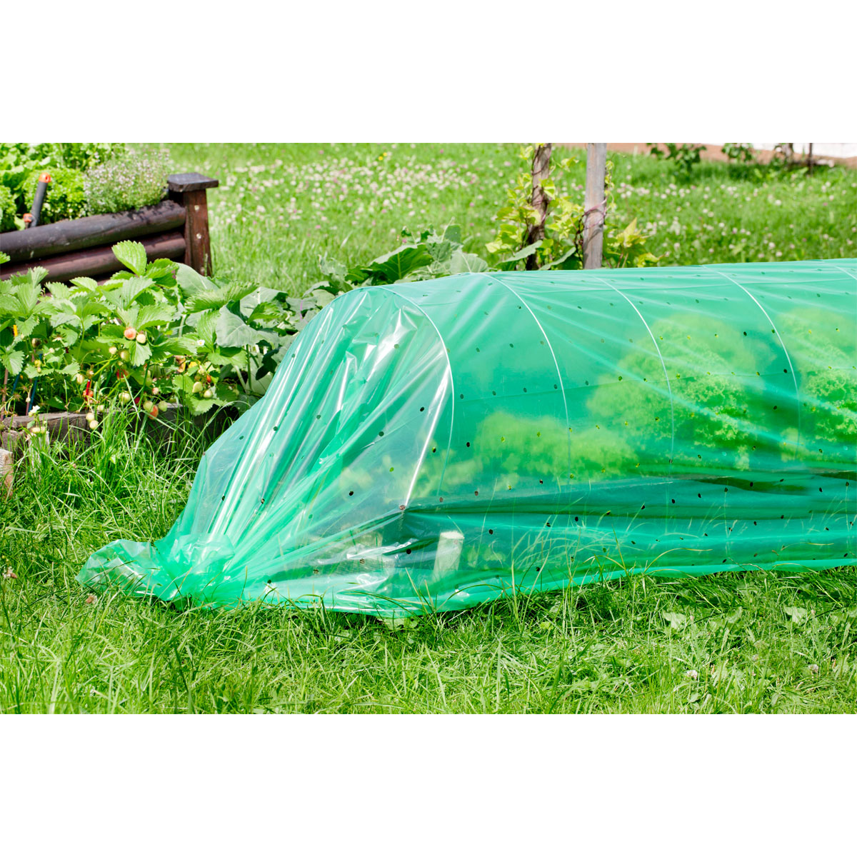 Folien-Tunnel 3,5 x 1 m Bild 2