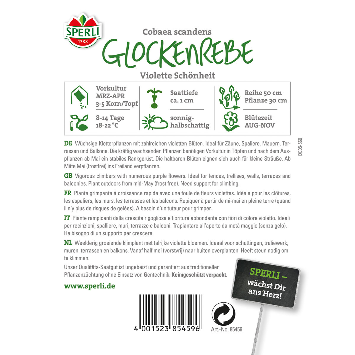 Sperli Glockenreben Violette Schönheit Bild 2
