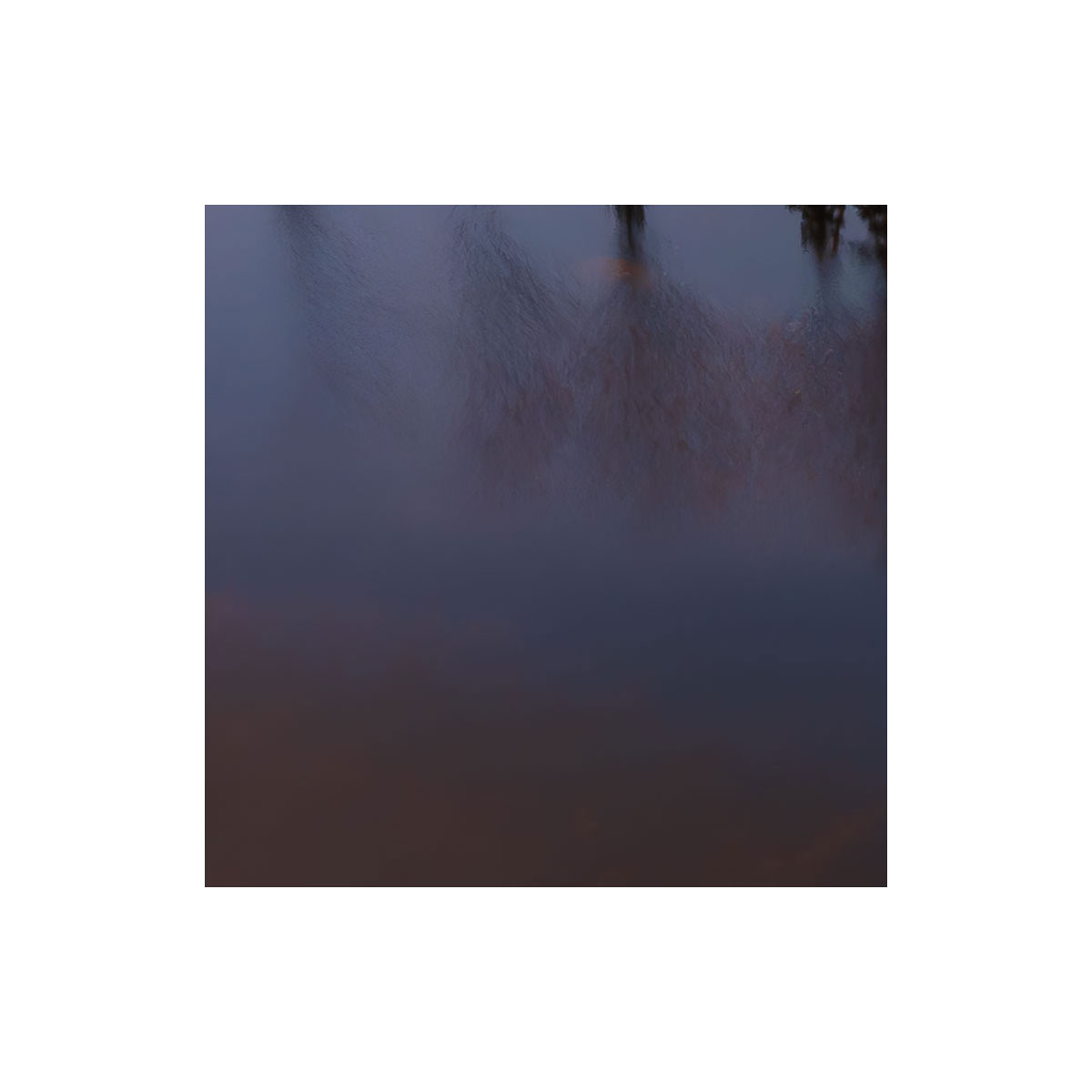 Komar  Vlies Fototapete Between the Light 450x280 cm Bild 7