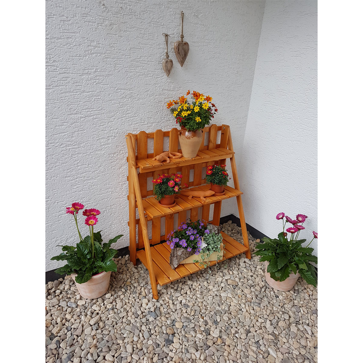 Promadino Blumenetagerie Altes Land Bild 3