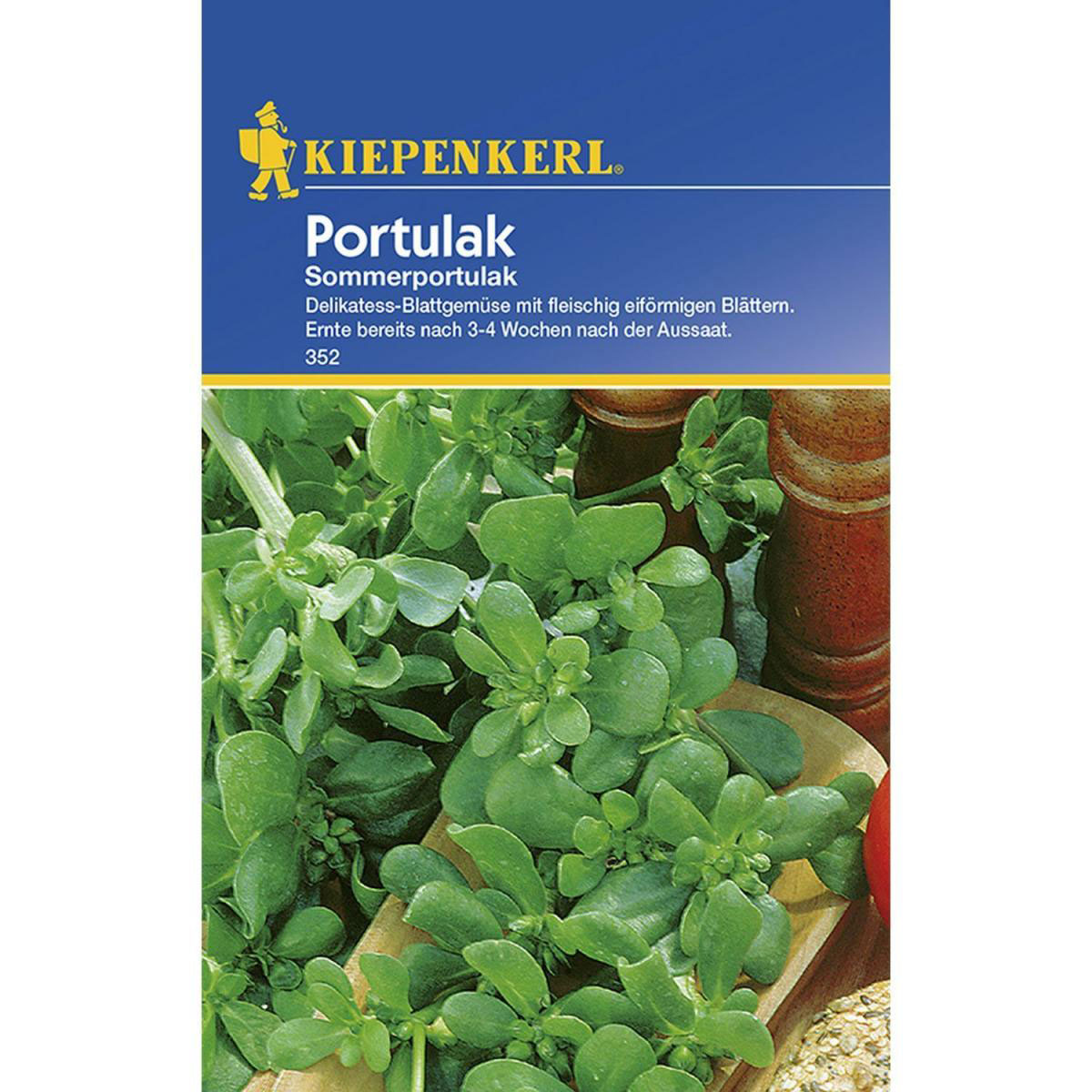 Kiepenkerl Sommerportulak Bild 1