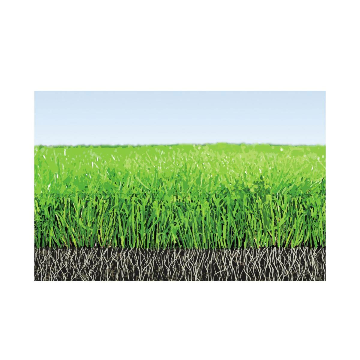 Compo Rasendünger mit Langzeitwirkung Aktion 13,75 kg Bild 3