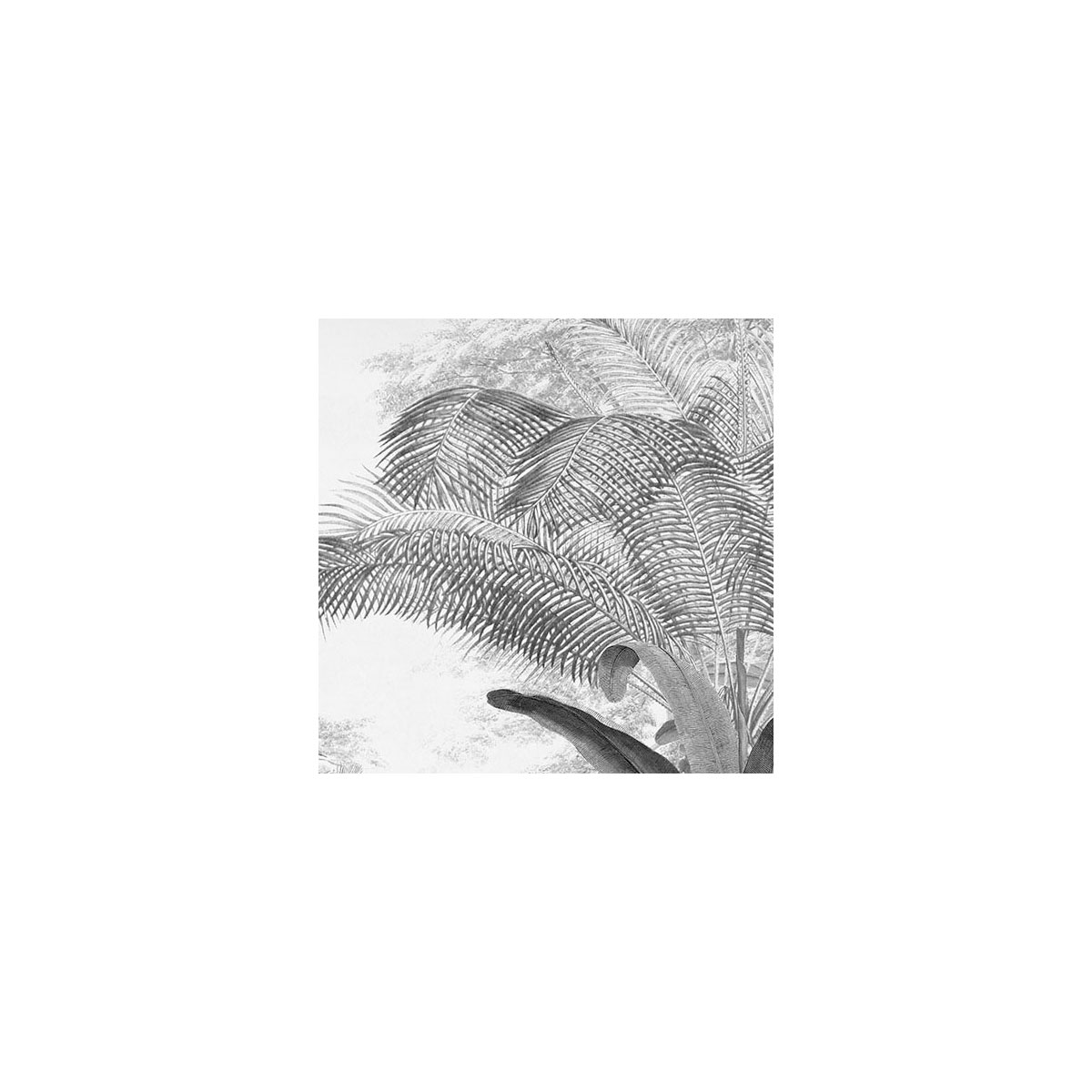 Komar  Vlies Fototapete Roraima 350x280 cm Bild 4