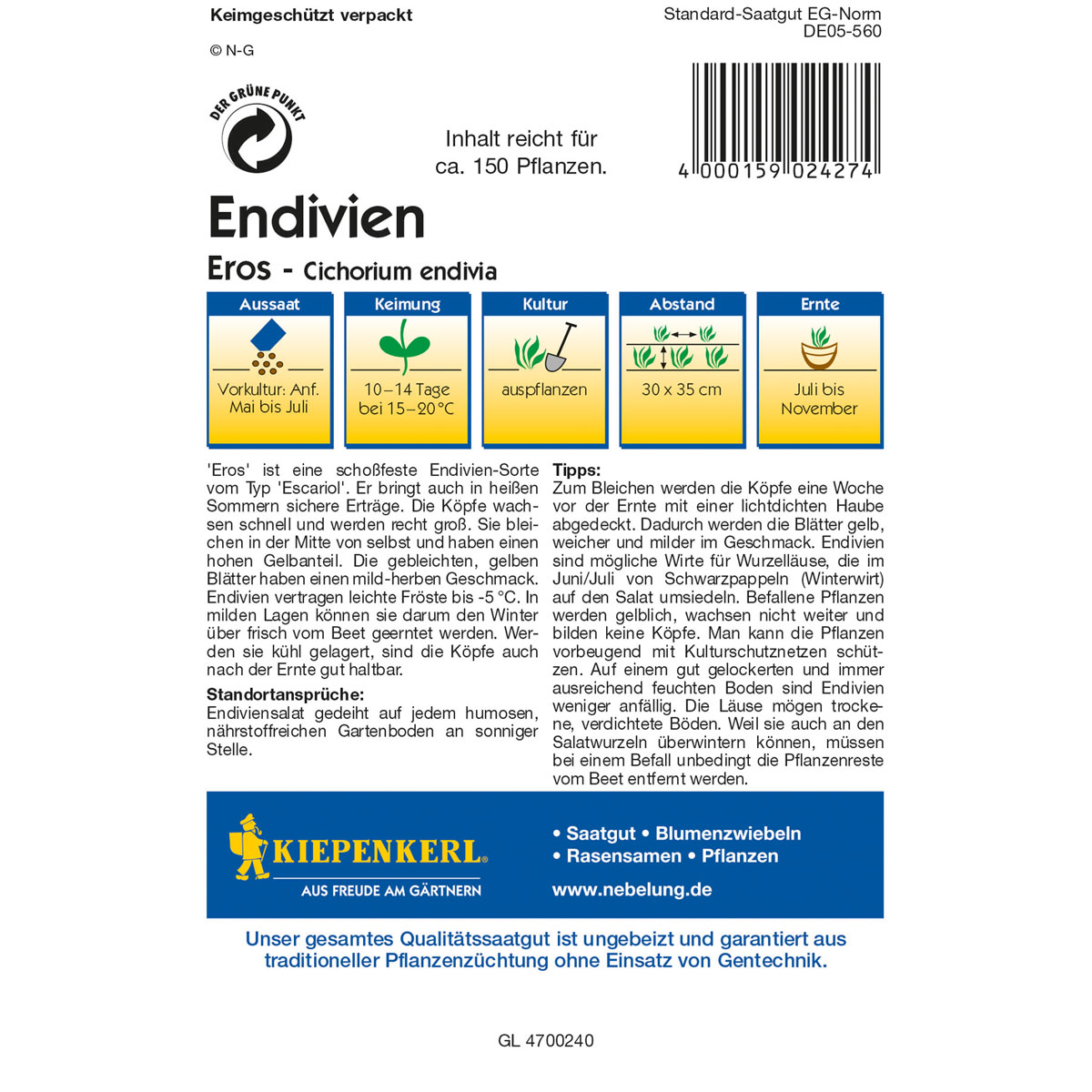 Kiepenkerl Endivien Eros Bild 2