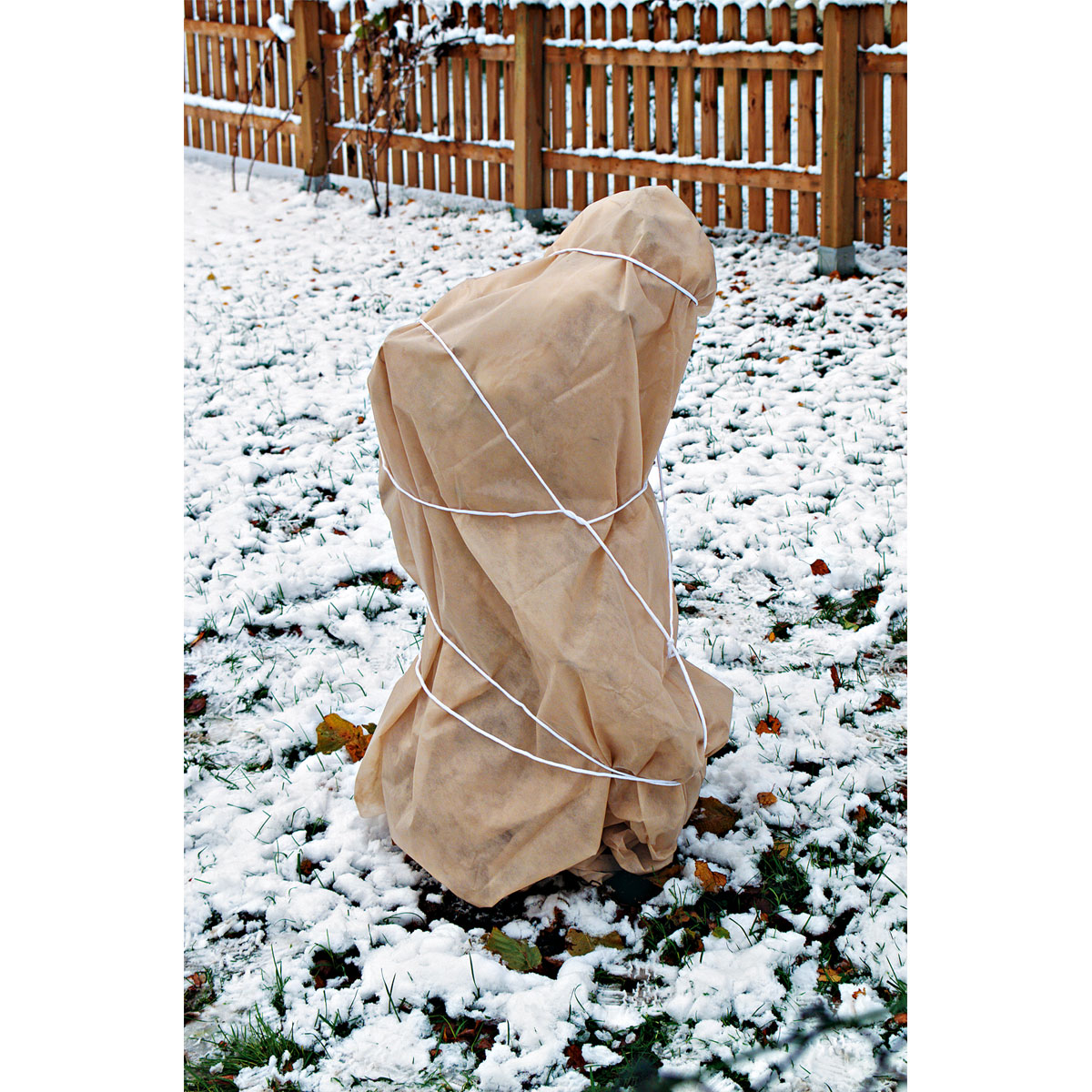 Wintervlies Aktion 5 x 1,5 m Bild 2