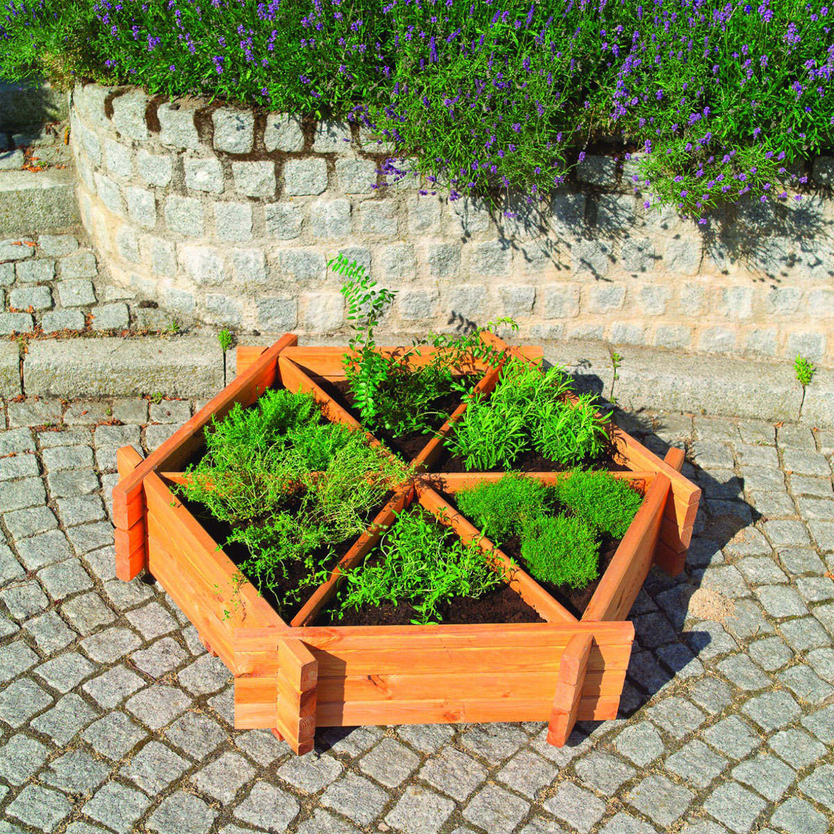 Promadino Kräuterhexagon Julia