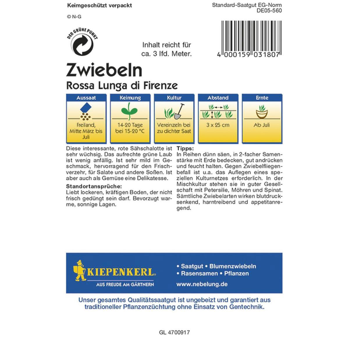 Kiepenkerl Lauchzwiebeln Rossa Lunga di Firenze Profi-Line Bild 2