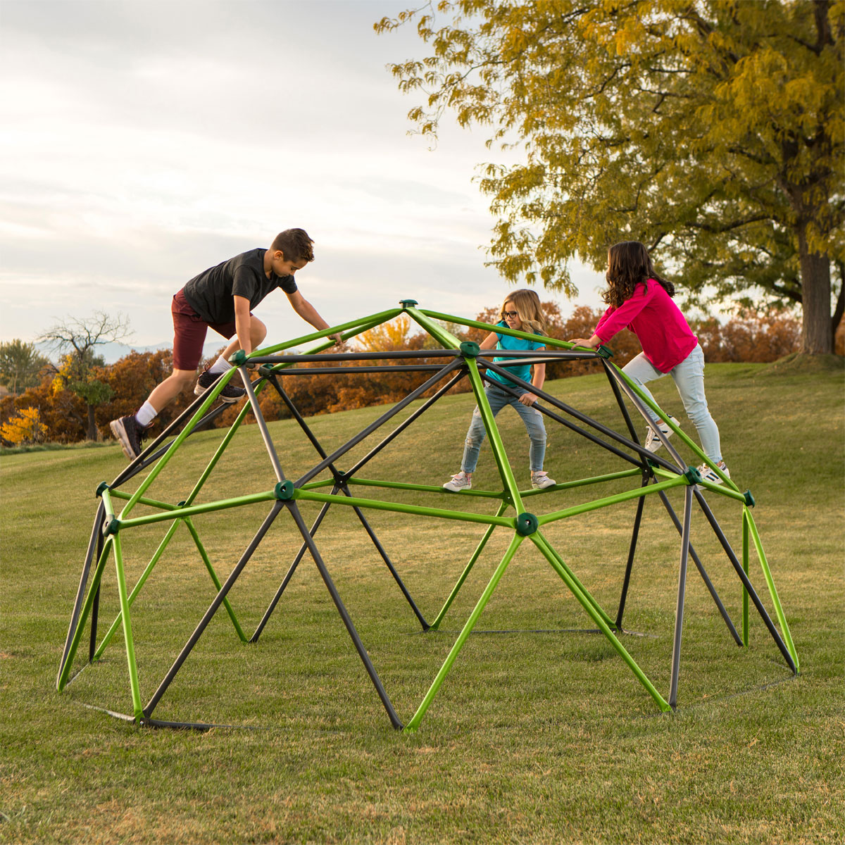 Lifetime Klettergerüst Geodome 335x335x168cm Grün Bild 7
