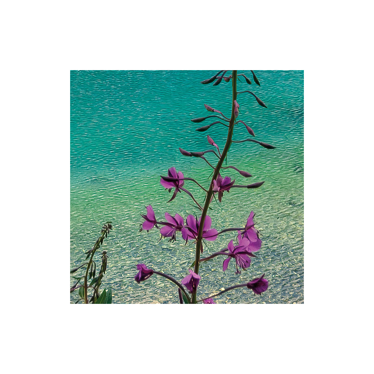 Komar  Vlies Fototapete Dolomitenjuwel 450x280 cm Bild 4