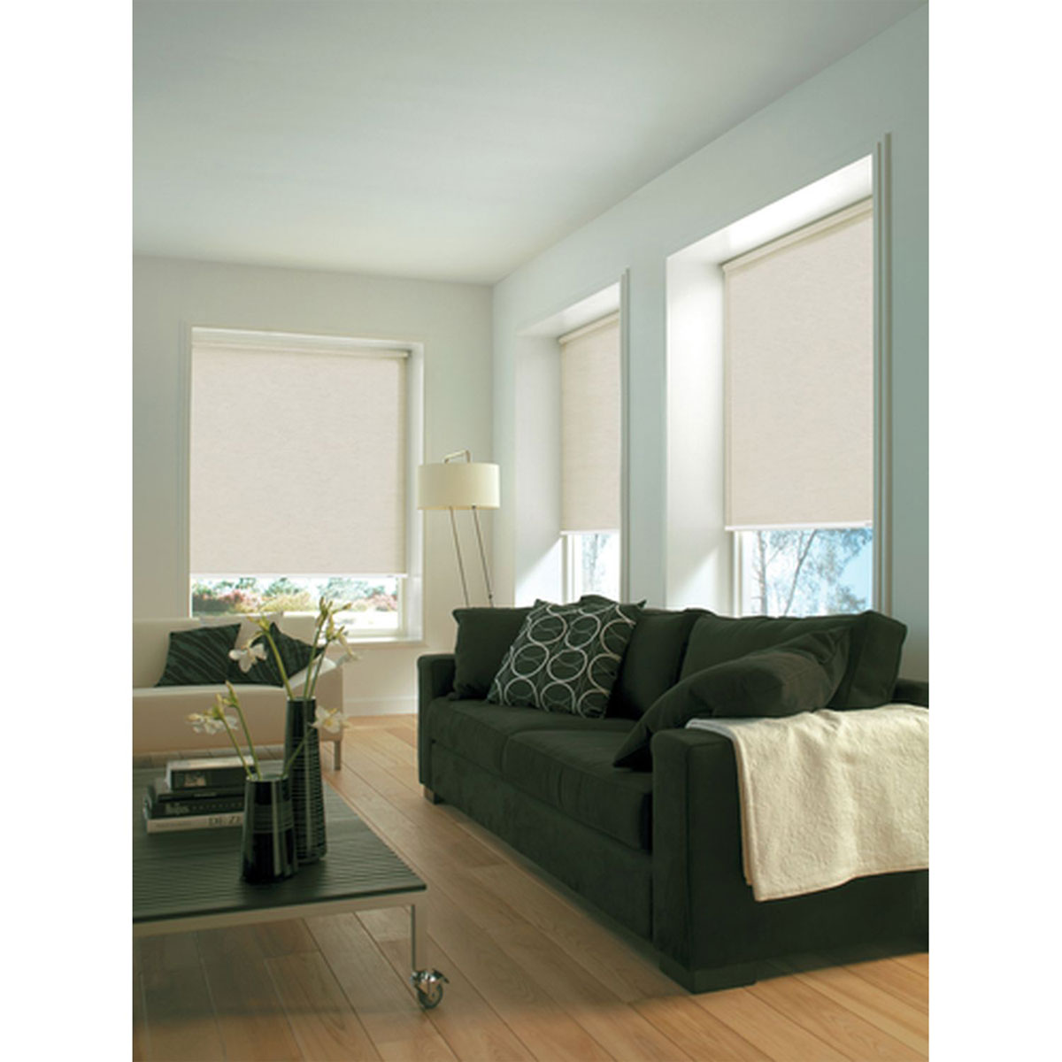 Gardinia Seitenzugrollo 82 x 230 cm Silvalin natur Bild 6