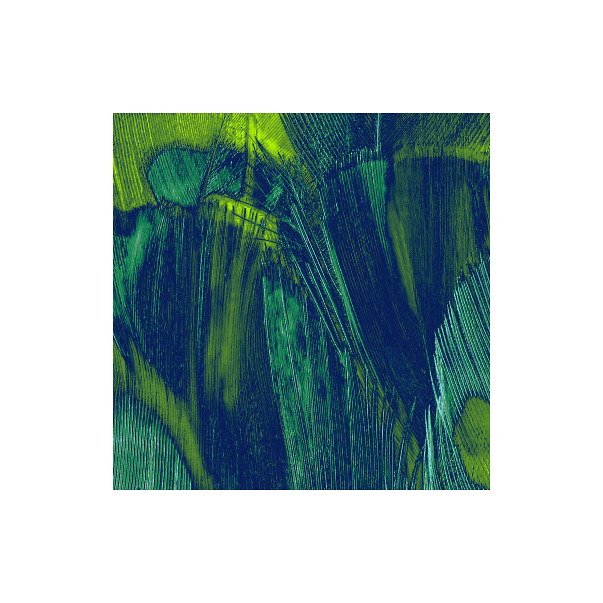 Komar  Vlies Fototapete Feathers 200x250 cm Bild 7