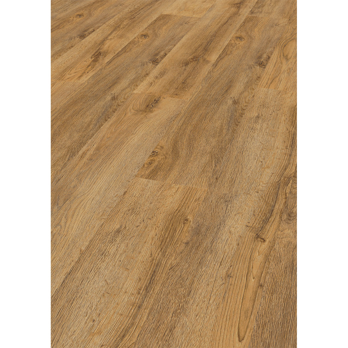 Specht Laminatboden Classic Somborner Eiche 138 x 19,3 cm