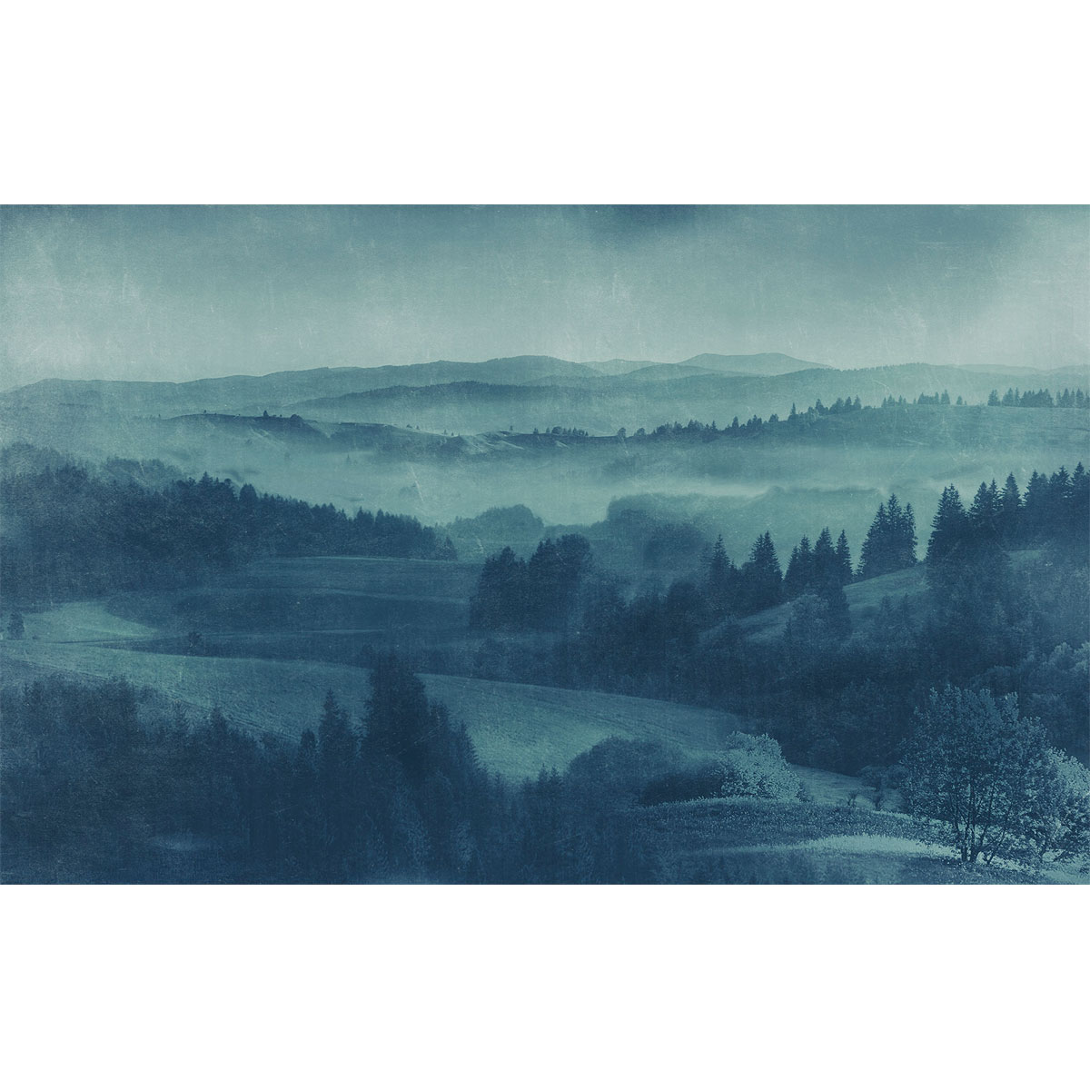 Komar  Vlies Fototapete Twilight 400x250 cm Bild 2