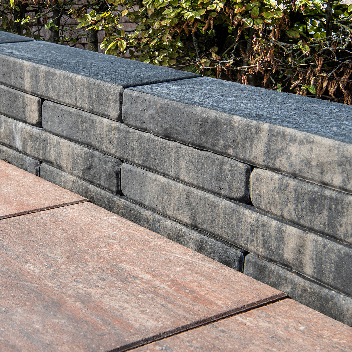 Diephaus  Mauerstein Alive Qarzit 60 x 20 x 7 cm Bild 2