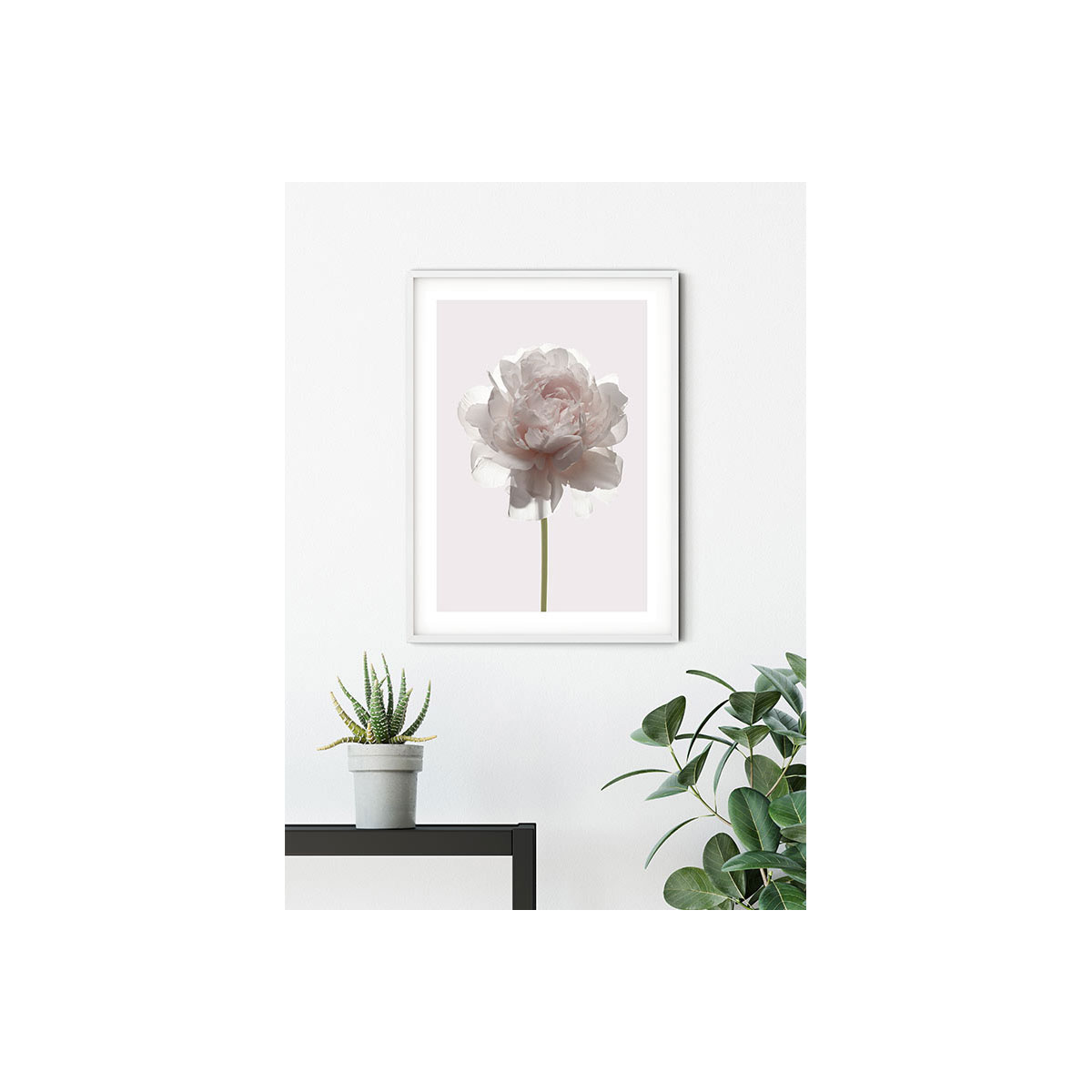 Komar  Wandbild Rose 40x50 cm Bild 3