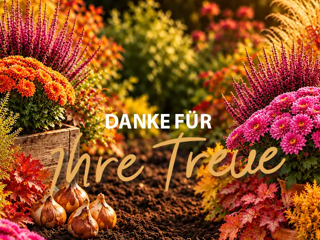 Herbstliches Ambiente mit Blumen