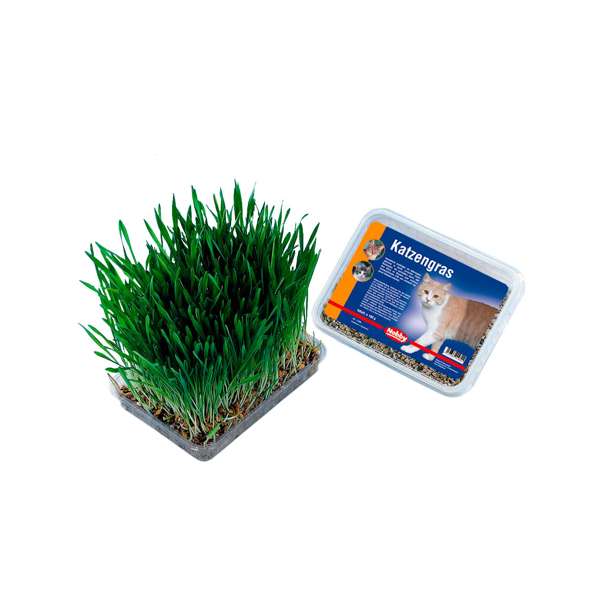 Katzengras 100 g