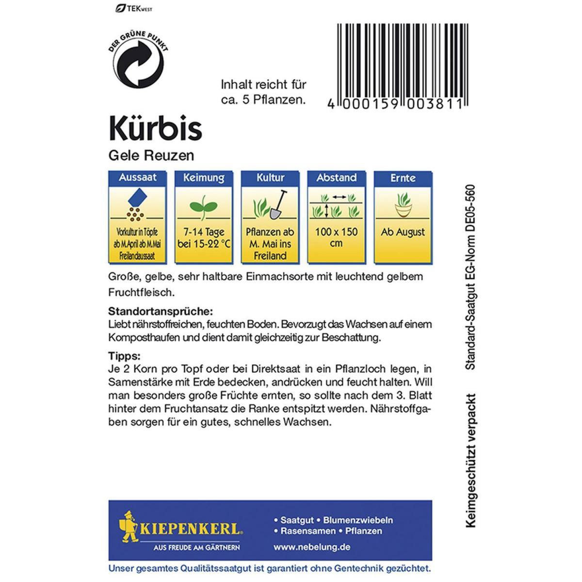 Kiepenkerl Kürbis Gele Reuzen Gelber Zentner Bild 2