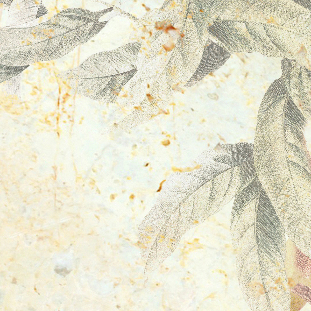 Komar  Vlies Fototapete Cosy Bohemian 300x280 cm Bild 6