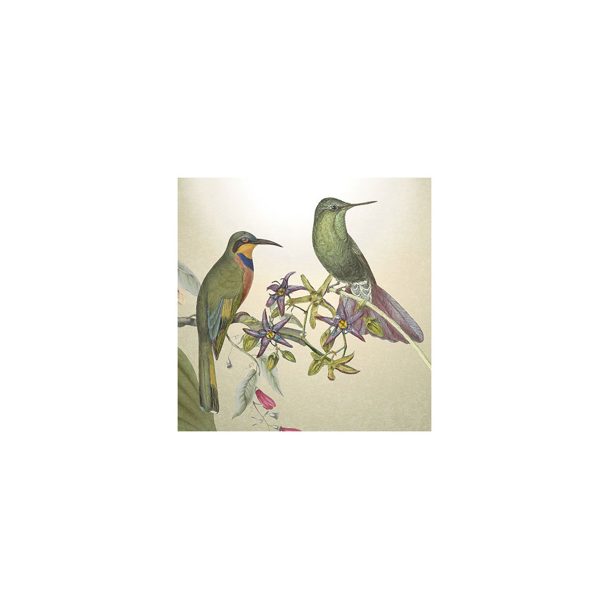 Komar  Vlies Fototapete Wildlife Birds 200x250 cm Bild 4