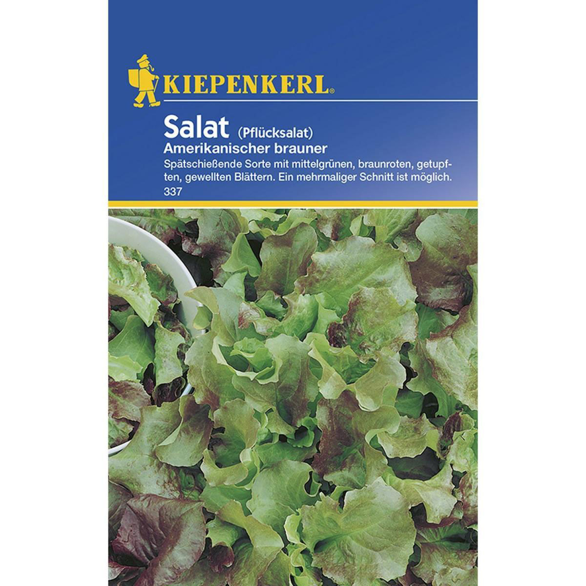 Kiepenkerl Pflücksalat Amerikanischer brauner