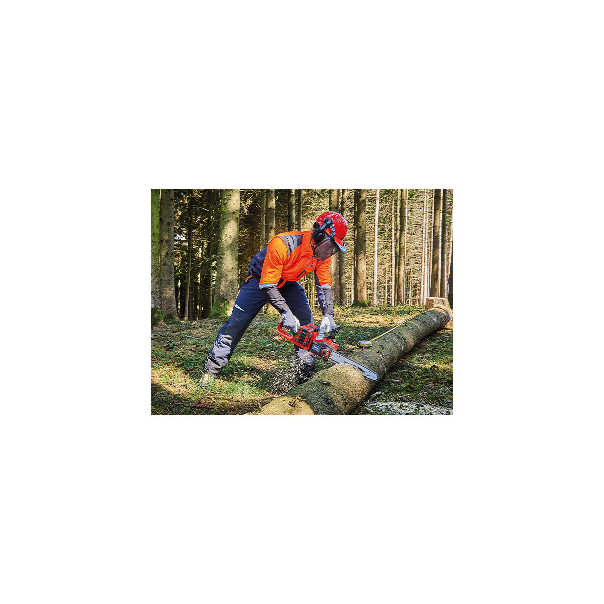 Einhell Akku-Kettensäge GP-LC 36/35 Li-Solo Bild 8