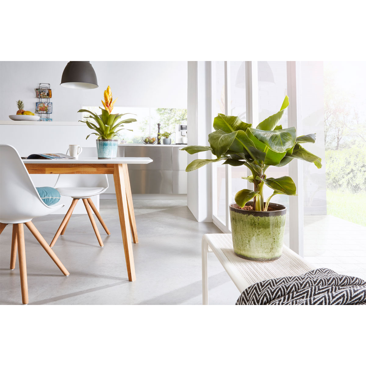 Scheurich Übertopf Meadow Glaze 870 13 cm Bild 2