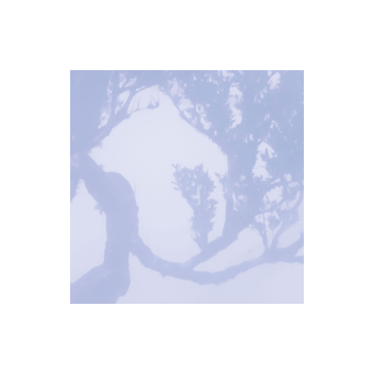 Komar  Vlies Fototapete Ghost Line 400x250 cm Bild 6