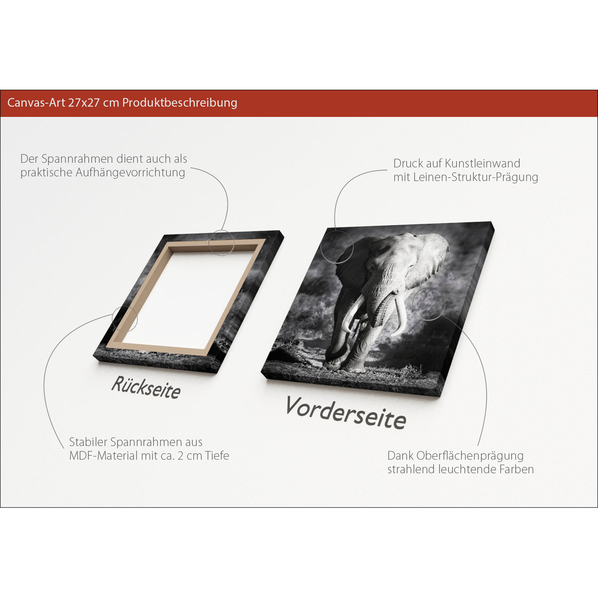 Canvas-Art Elefant 30 x 30 cm Bild 3