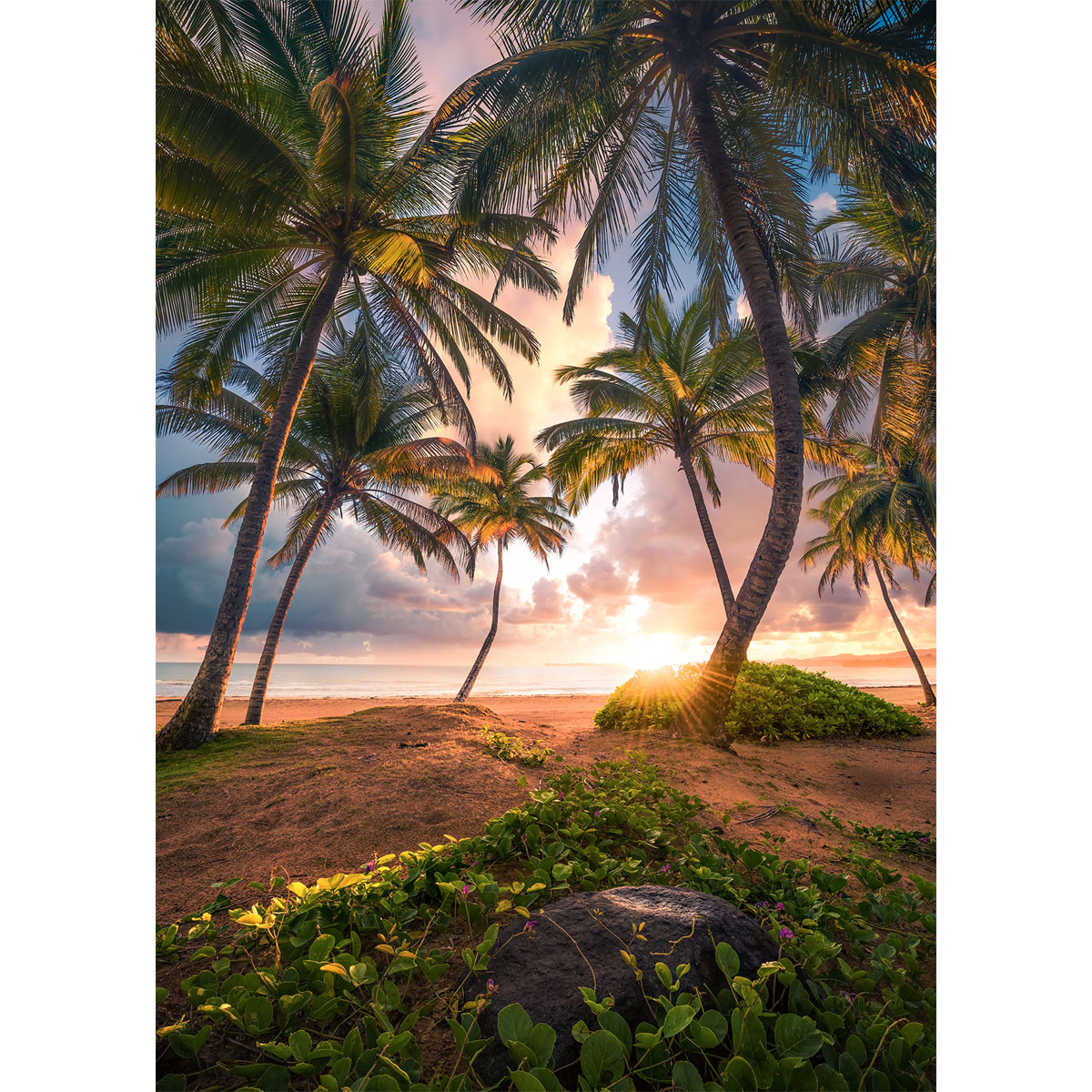 Komar  Vlies Fototapete Vertical Paradise 200x280 cm Bild 2