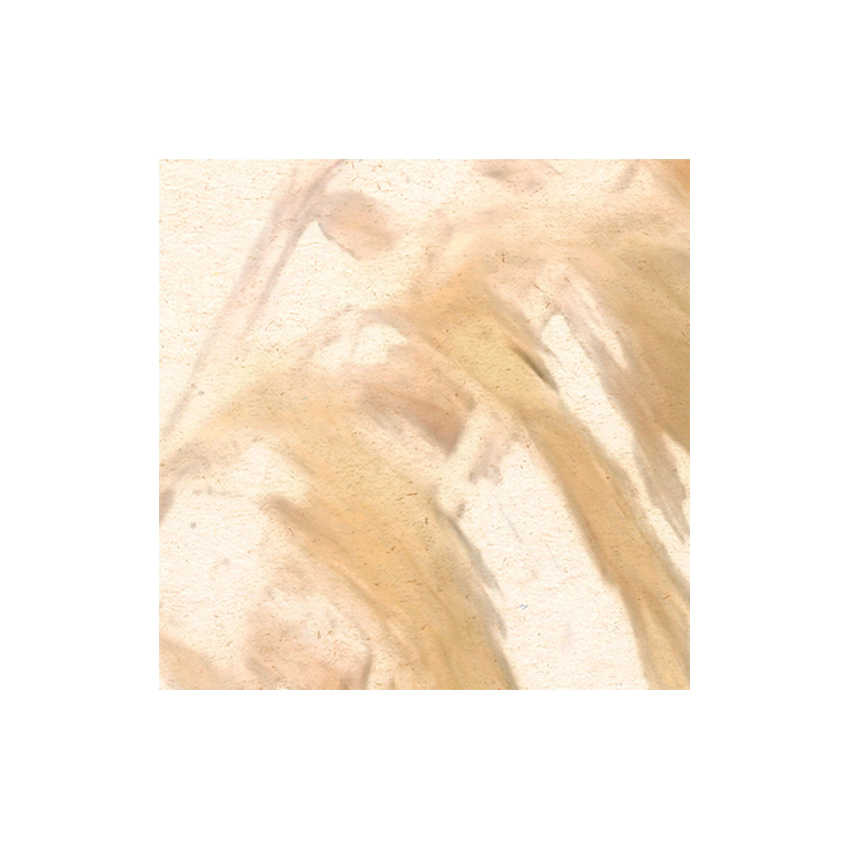 Komar  Vlies Fototapete Dune Grass 400x250 cm Bild 5