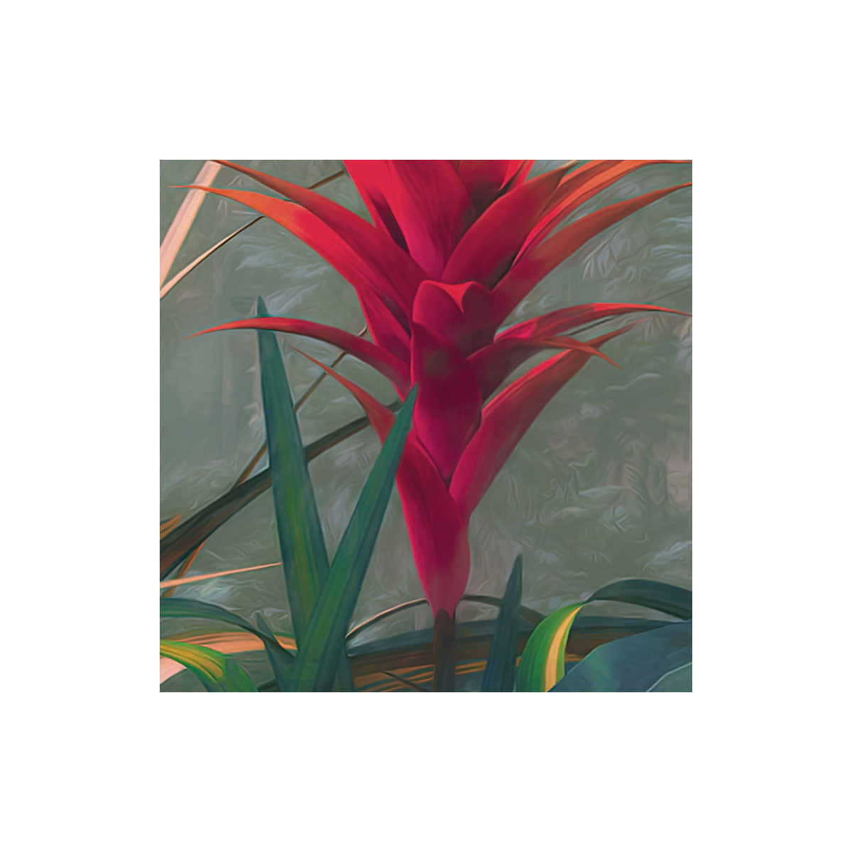 Komar  Vlies Fototapete Jungle Morning 400x250 cm Bild 4