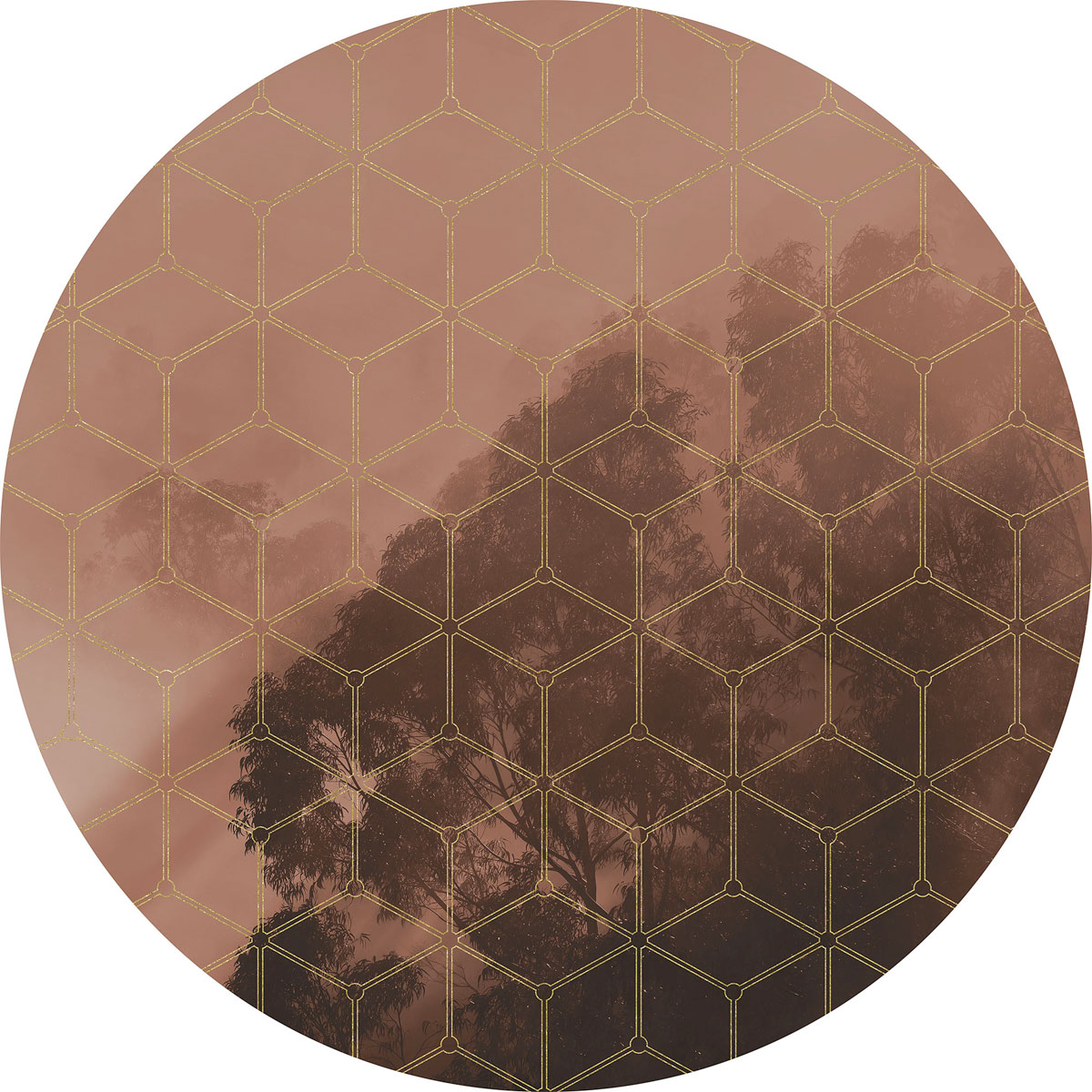 Komar  Selbstklebende Vlies Fototapete rund New Morning Durchmesser 125 cm Bild 2