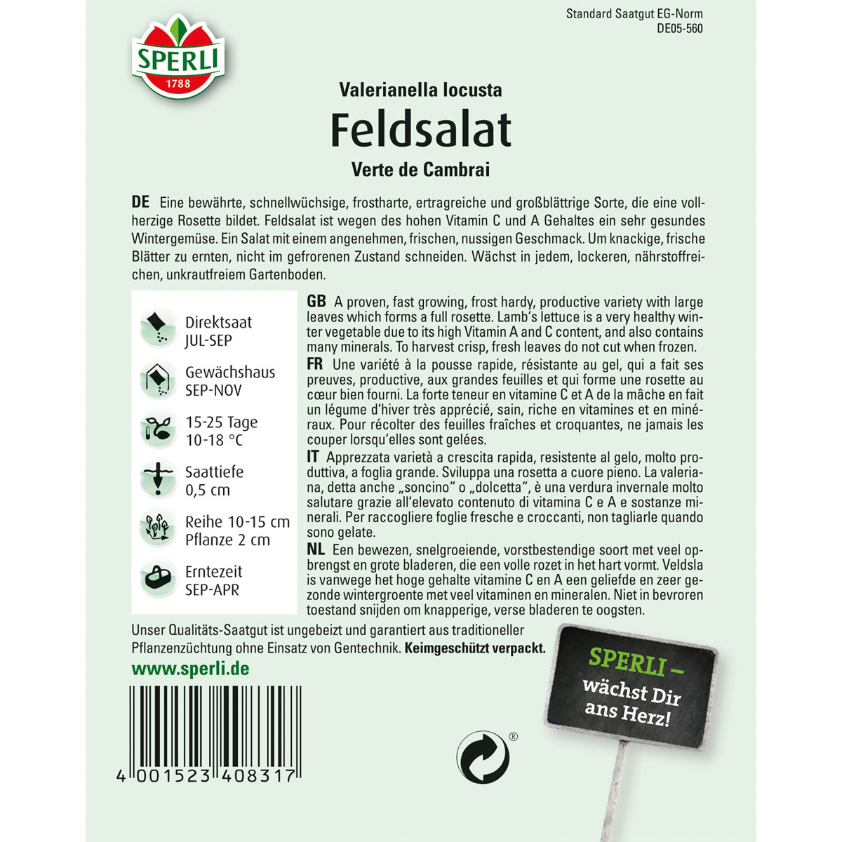 Sperli Feldsalat Verte de Cambrai Bild 2