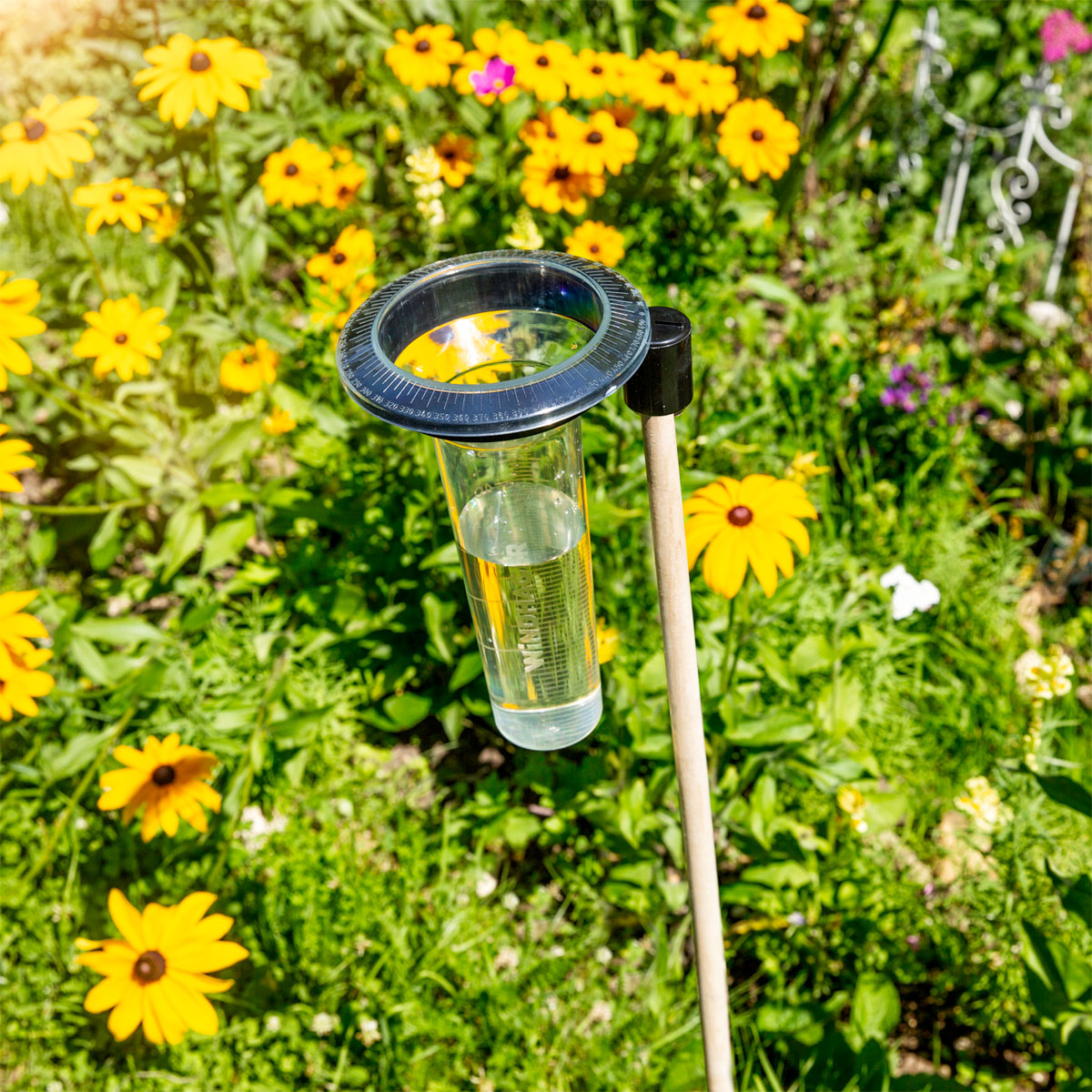 Windhager  Profi-Regenmesser Memory Bild 1