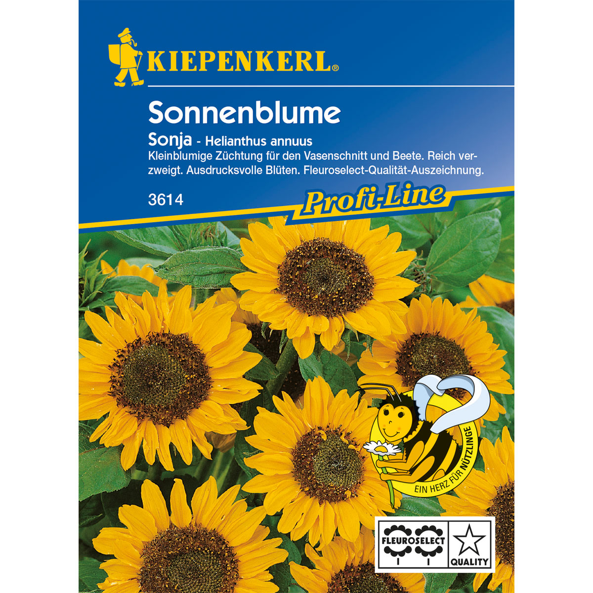 Kiepenkerl Sonnenblume Sonja