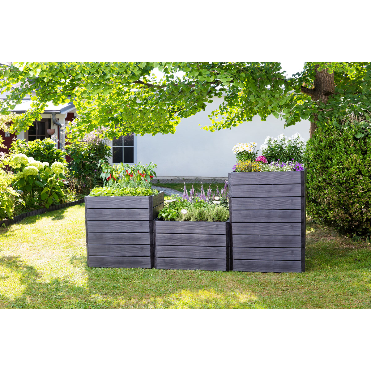 Garantia  Hochbeet-System Ergo Quadro anthrazit Größe L Bild 1