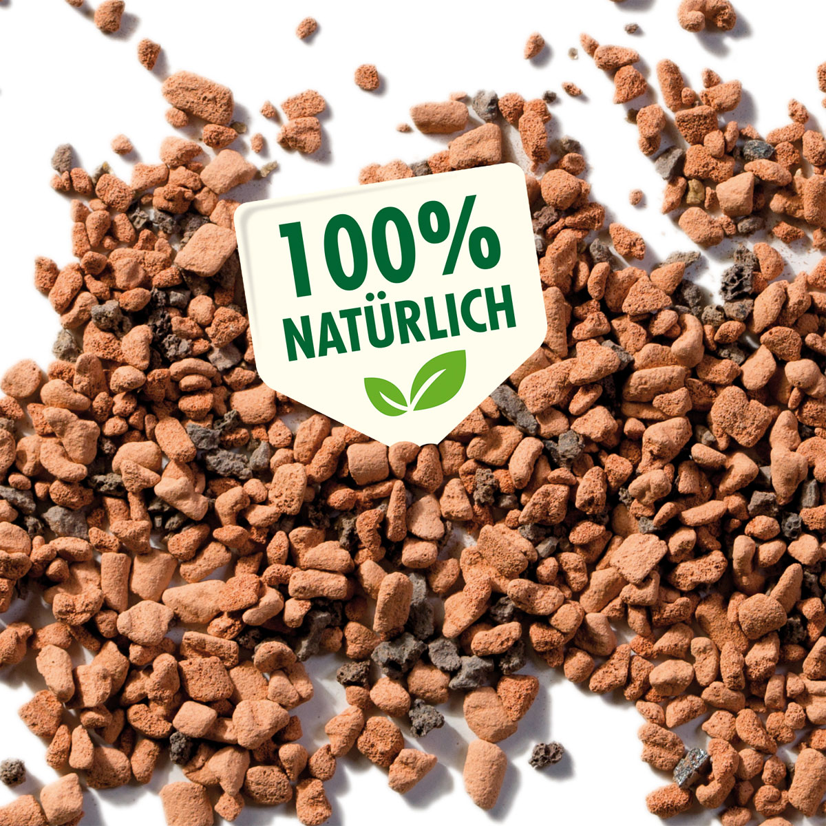 Seramis Substrat für Palmen 7 L Bild 2