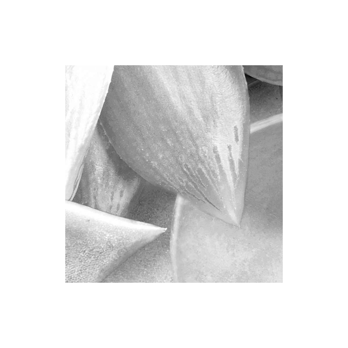 Komar  Vlies Fototapete Shades Black and White 400x250 cm Bild 6